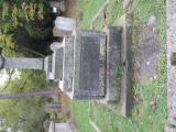 image of grave number 528204